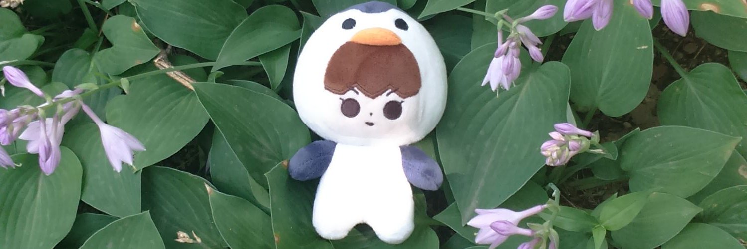 penguins_LCC's profile banner image