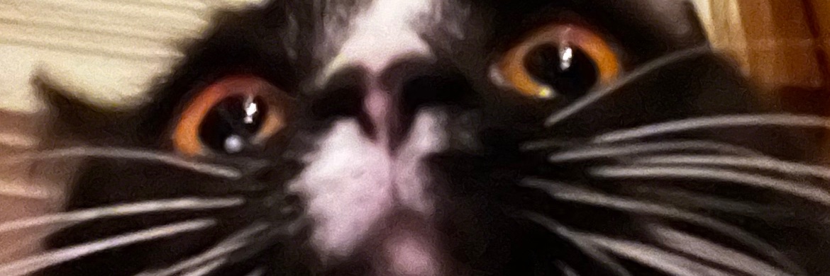 ToriMessina's profile banner image