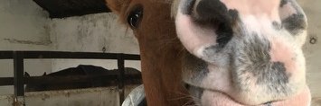 MoiWatson's profile banner image
