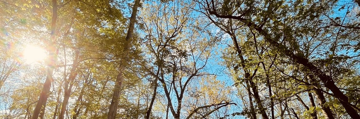 CheyenneCooper2's profile banner image