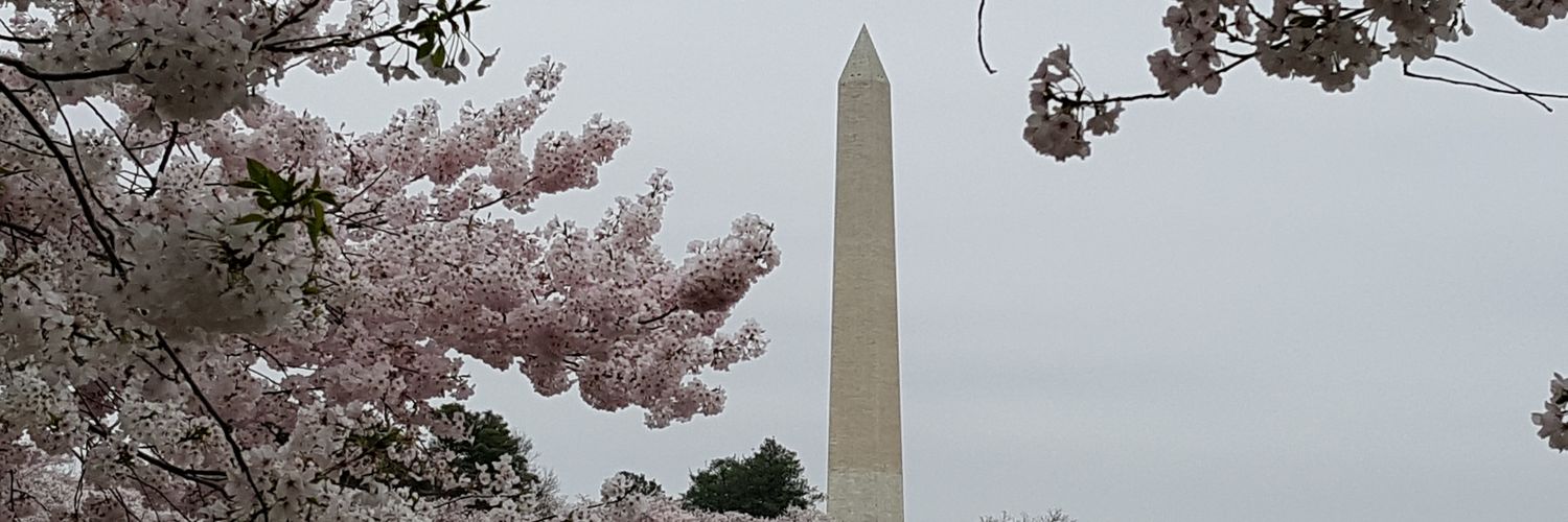 miartistdc's profile banner image