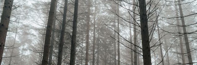 killingspooks's profile banner image