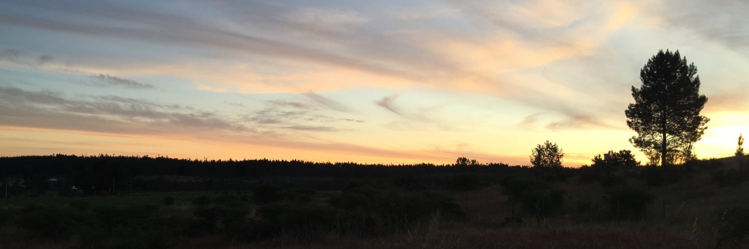 josematteo's profile banner image