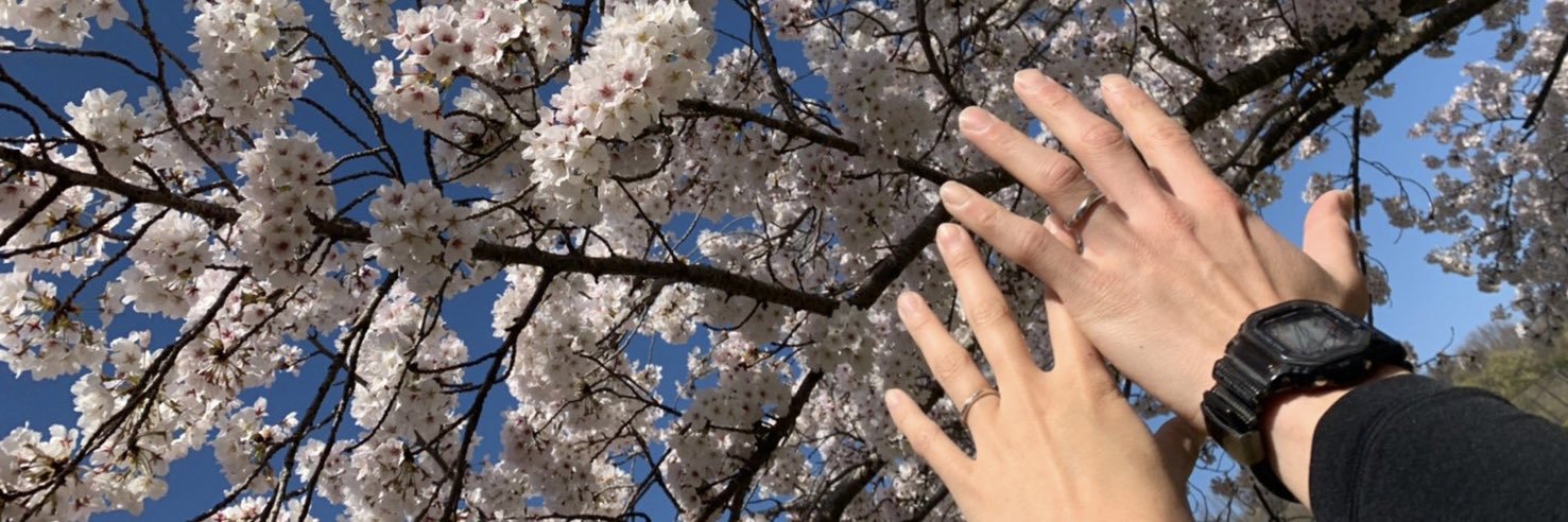 mn_aaa514's profile banner image