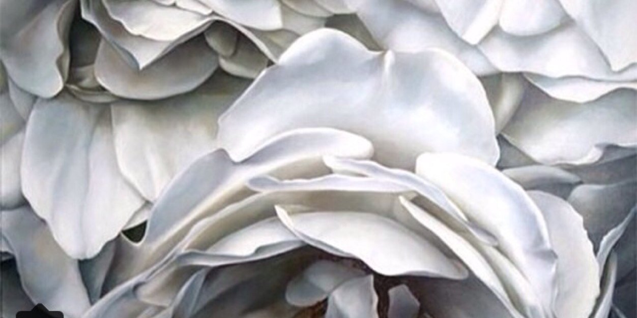 EmilyLauraGreen's profile banner image