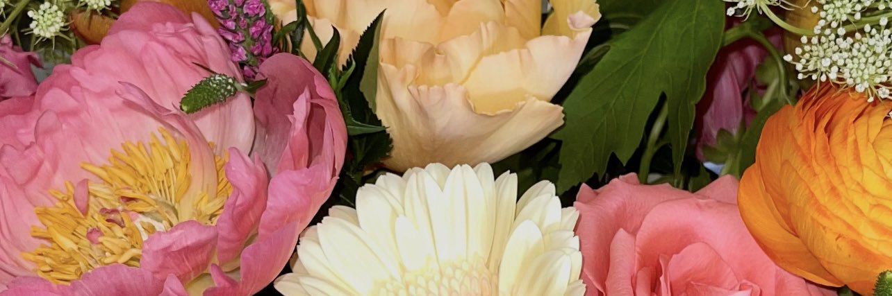 __annexo's profile banner image