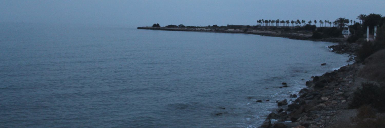 noechipi's profile banner image