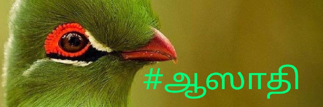azadivoice's profile banner image