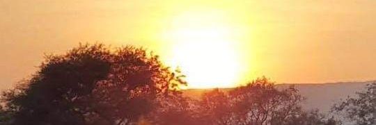 Markets Insights banner