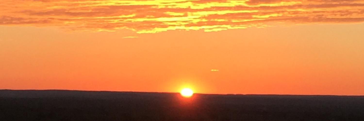 hayleyrray's profile banner image