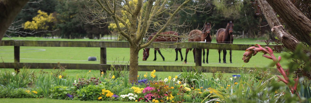 MidfrewFarm's profile banner image
