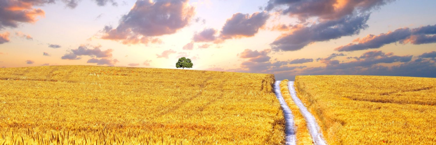 rubyrockfilms's profile banner image