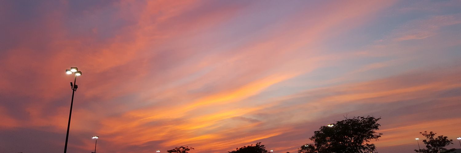 Tryhard_Timmy's profile banner image