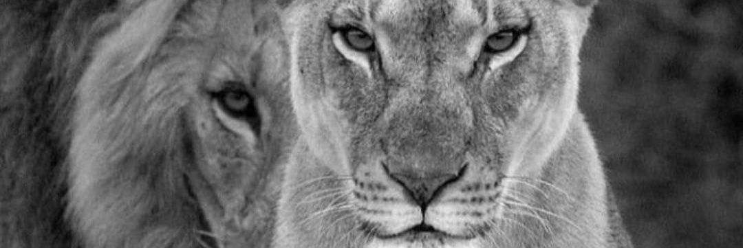 AngelaaMarquez's profile banner image