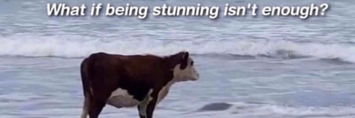 J. William James banner