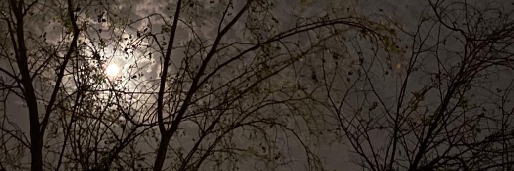 Zmn989's profile banner image