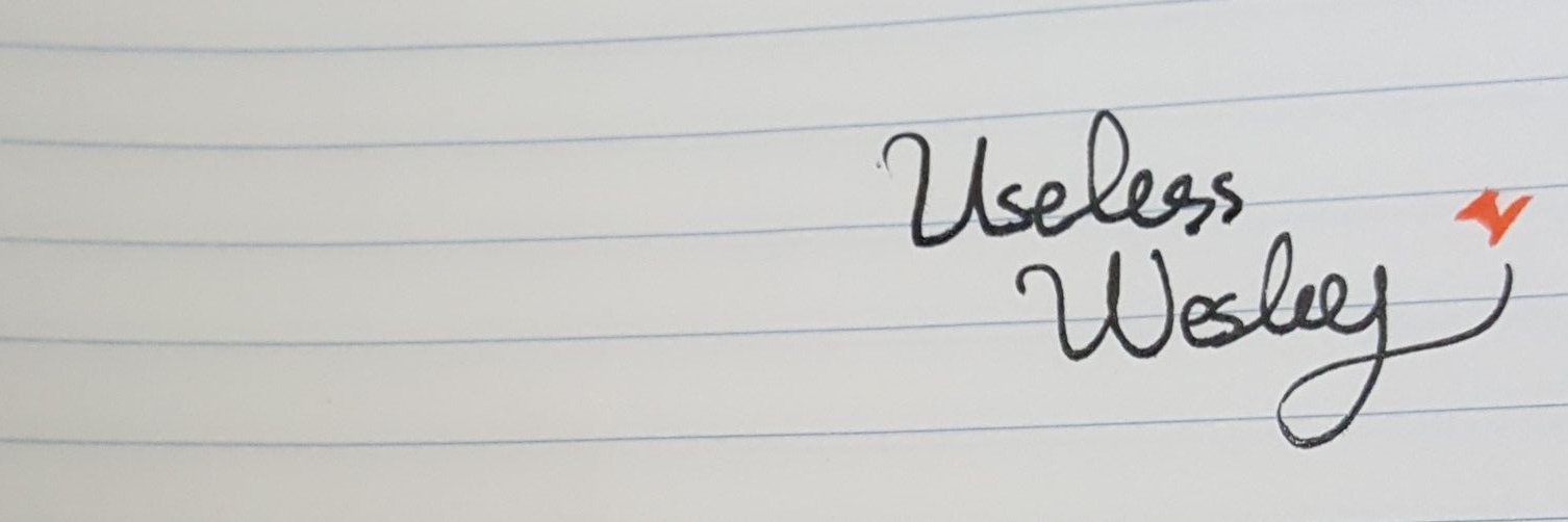 Useless_Wesley_'s profile banner image