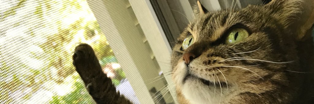 Failard banner