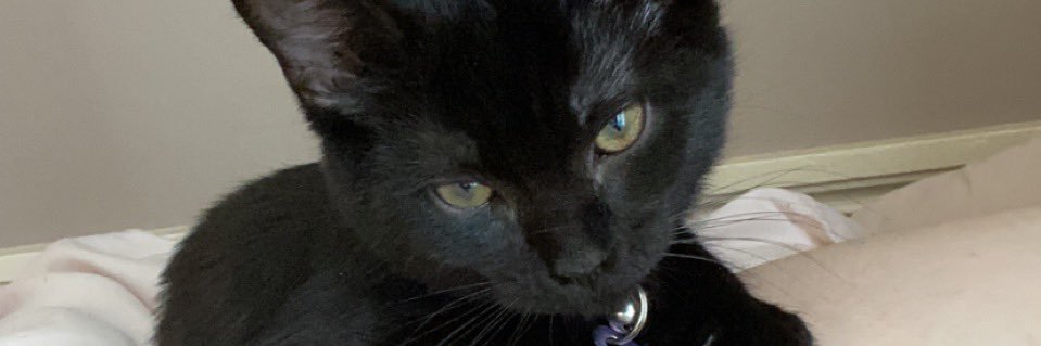 Becky_Franzz's profile banner image