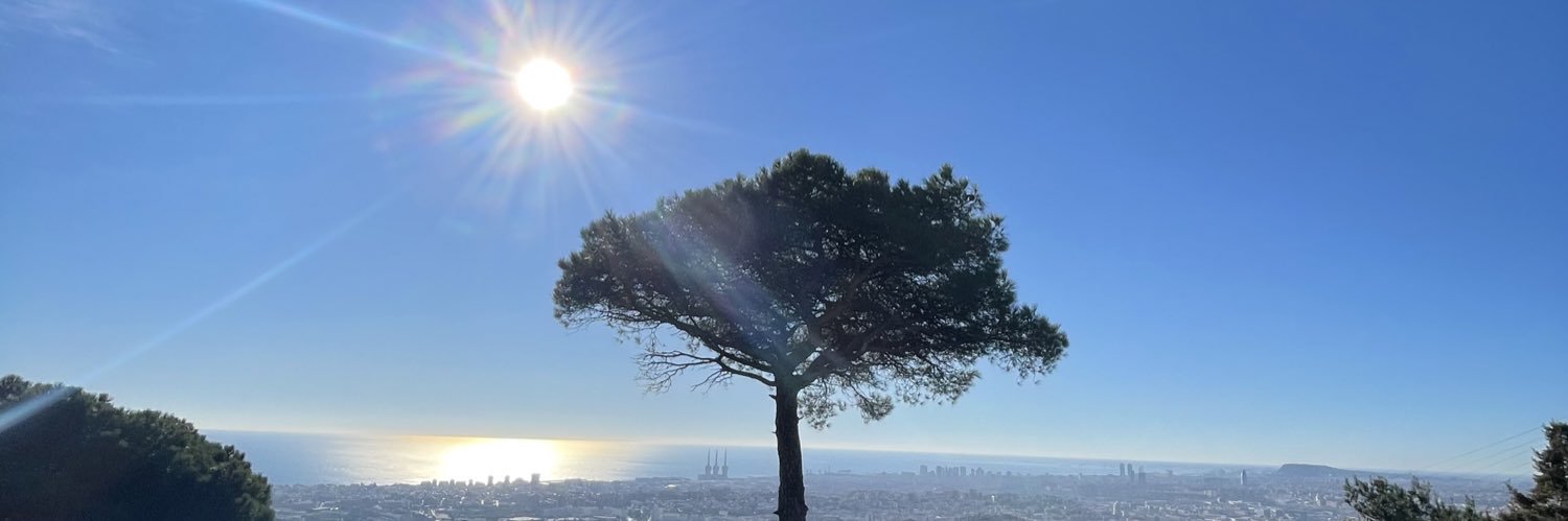 AmandaManzanar1's profile banner image