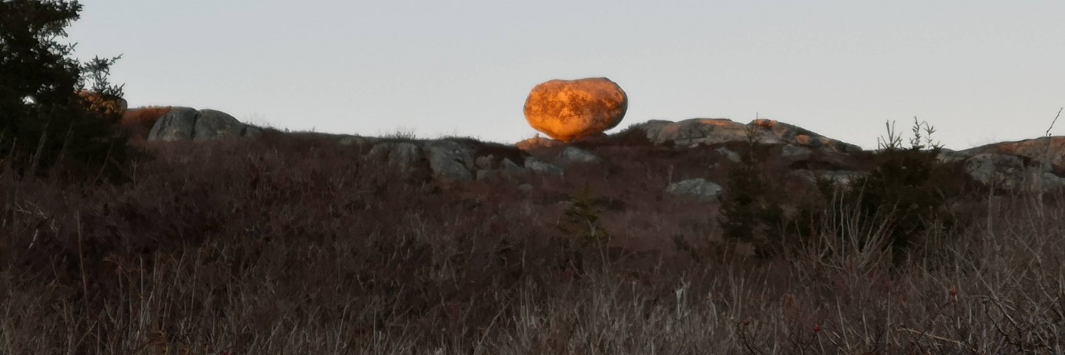 DougieOcean's profile banner image