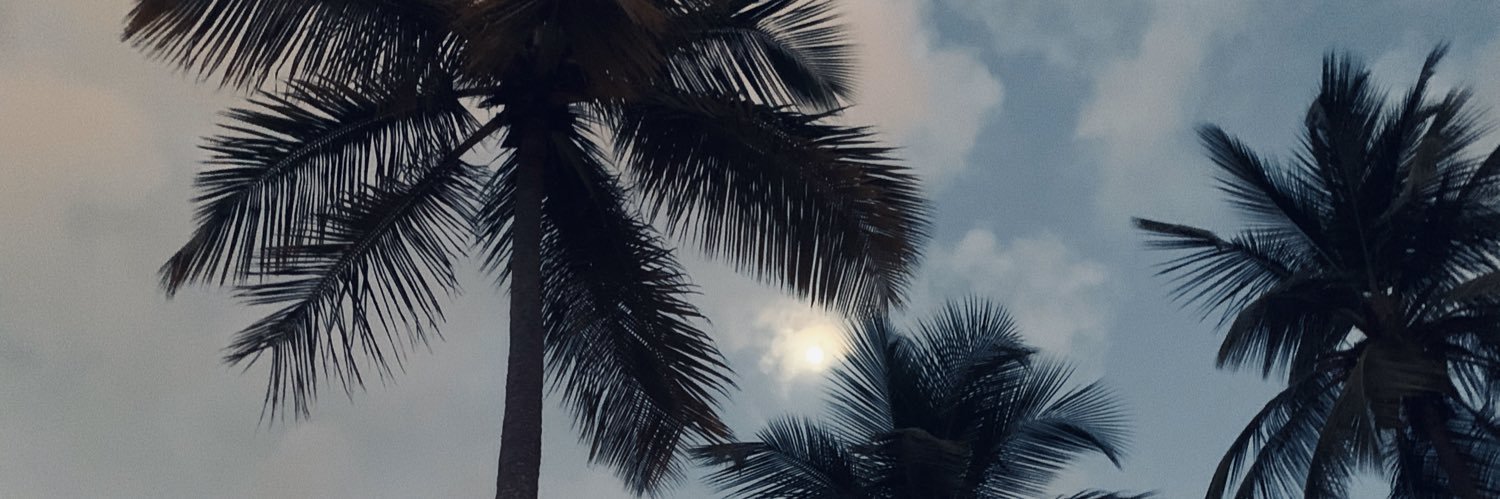 SteFo_O's profile banner image