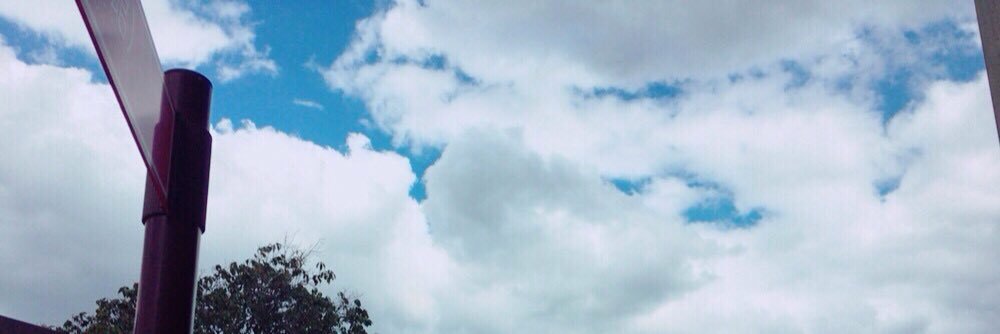 o71383432's profile banner image