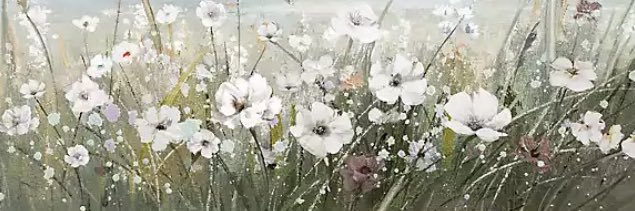 holllaye's profile banner image