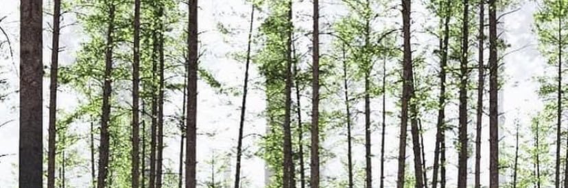 RosseGoldd's profile banner image