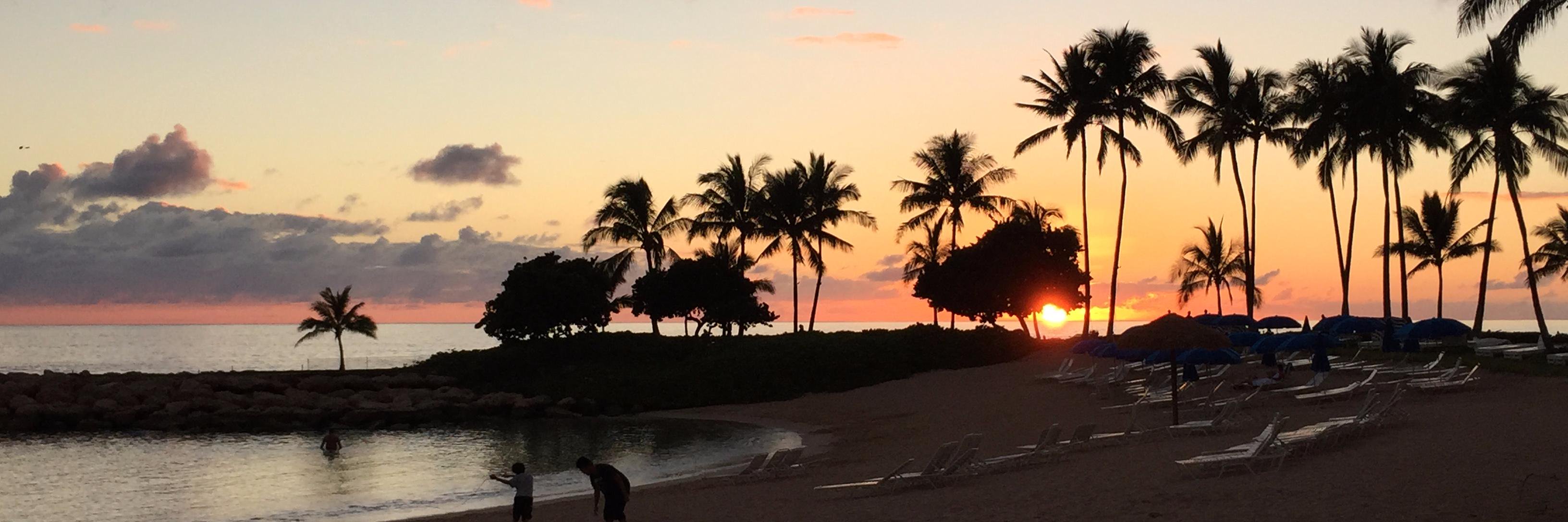 lion@隣人部 banner