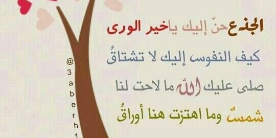 shamakh92's profile banner image