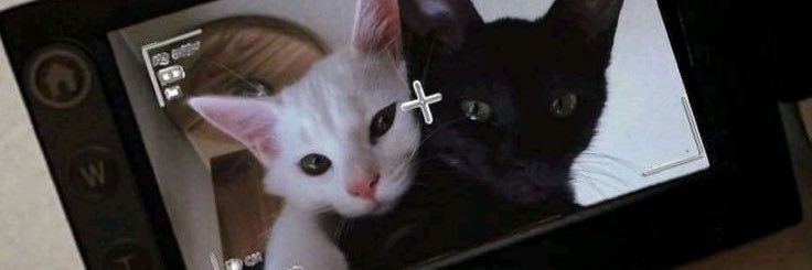 donversxce's profile banner image