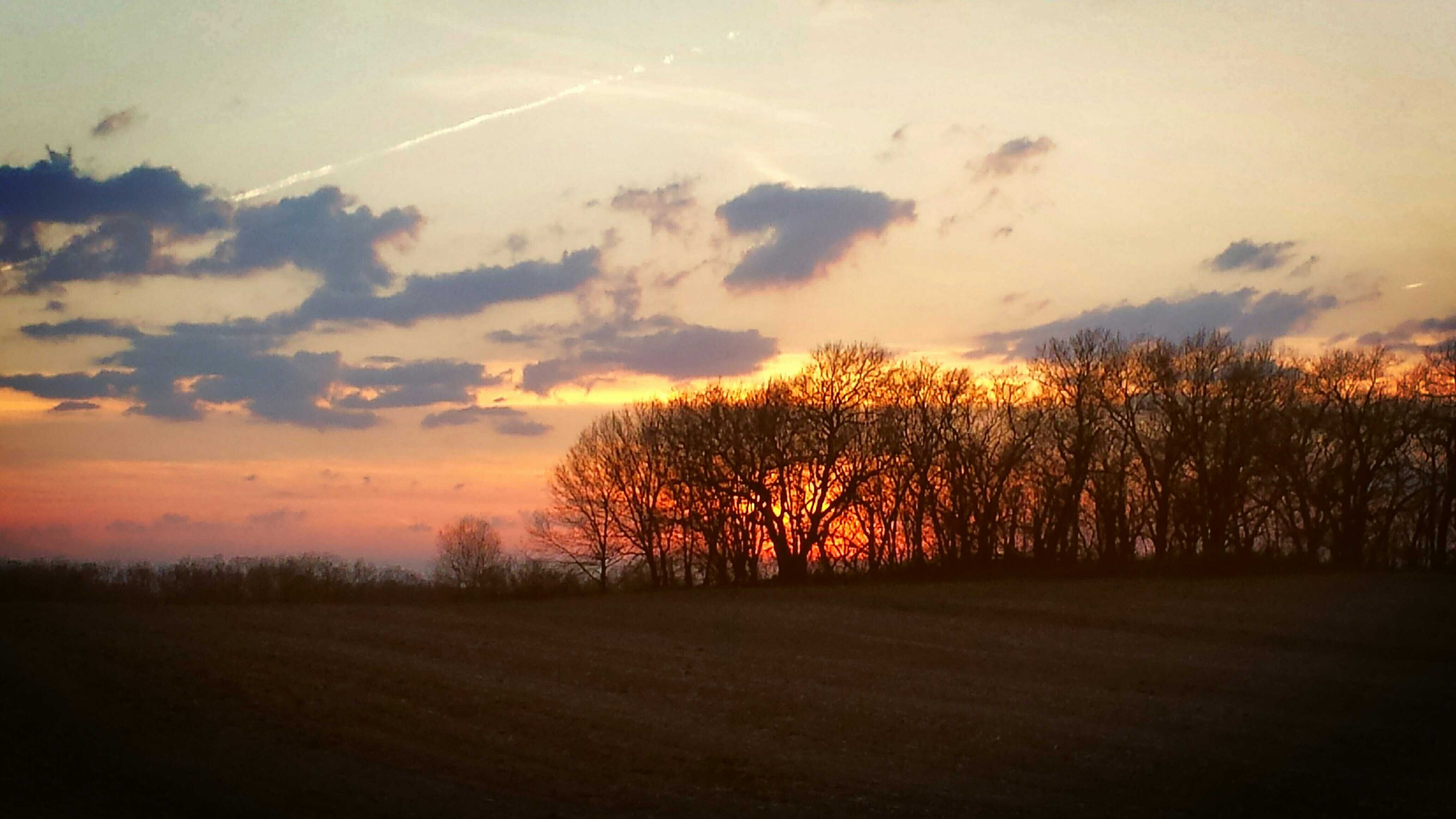 HolzBJ's profile banner image