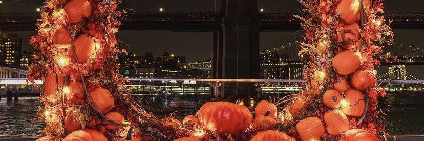 Claudia Rocha banner