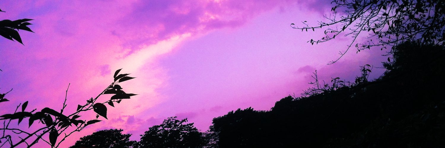 msredie304's profile banner image