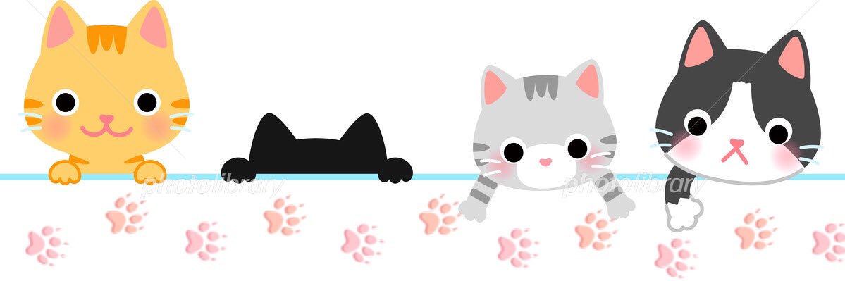 o9286o's profile banner image