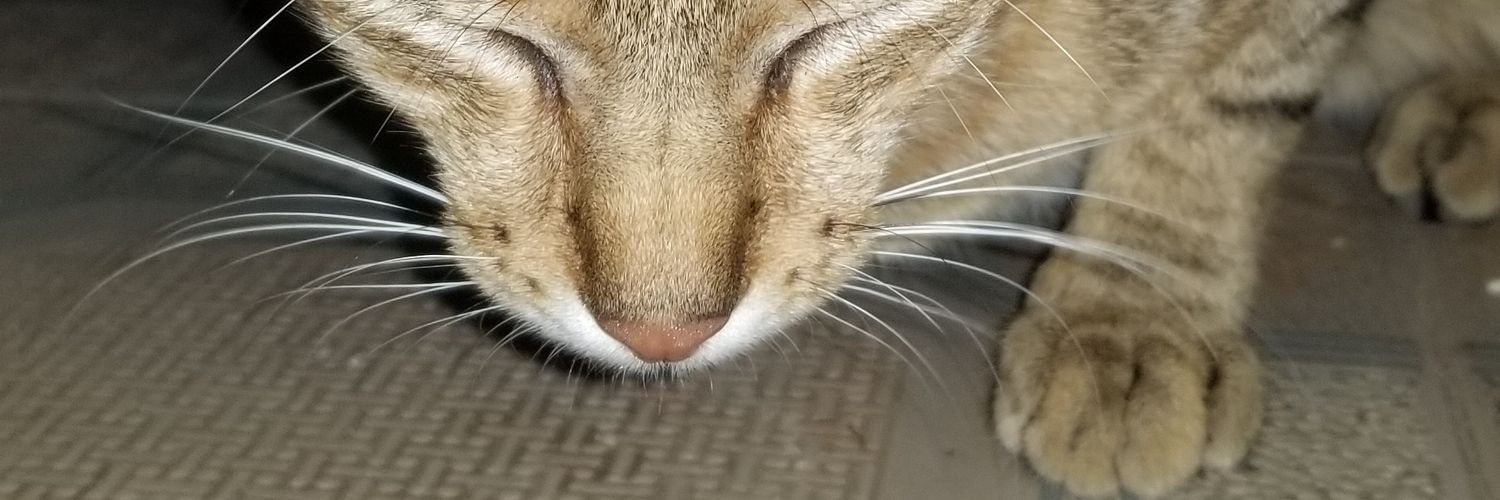 its_fulan's profile banner image