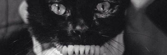 alvin_040's profile banner image