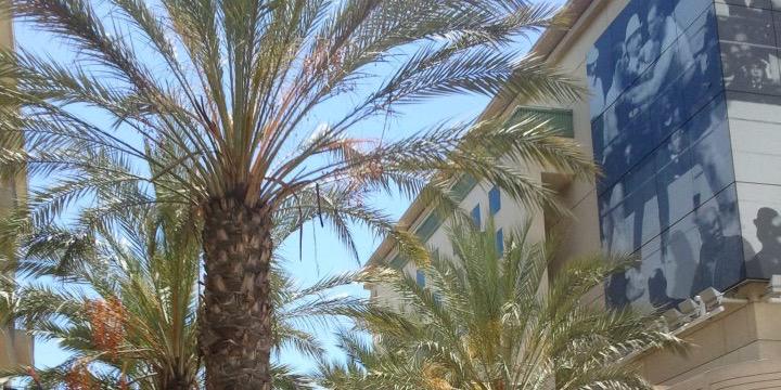 BurbankNeighbor's profile banner image