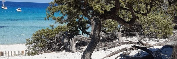 Lali__Land Profile Banner