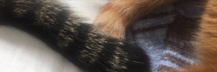 _9259991's profile banner image