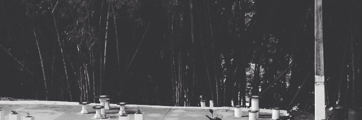 allannsc_'s profile banner image