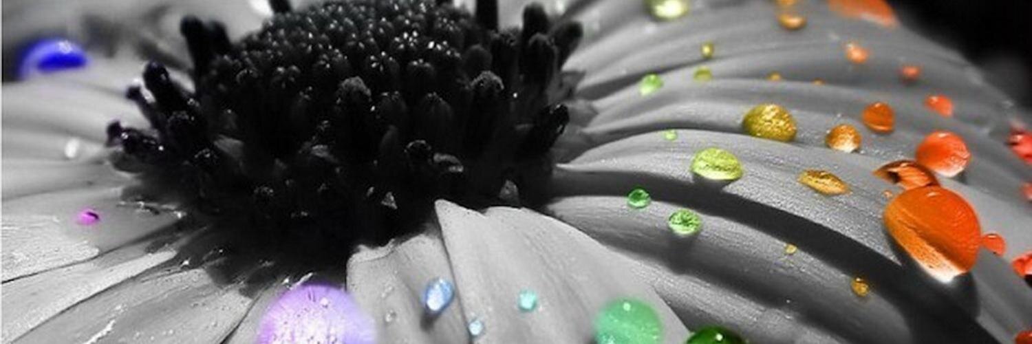 AriadnaMildred's profile banner image