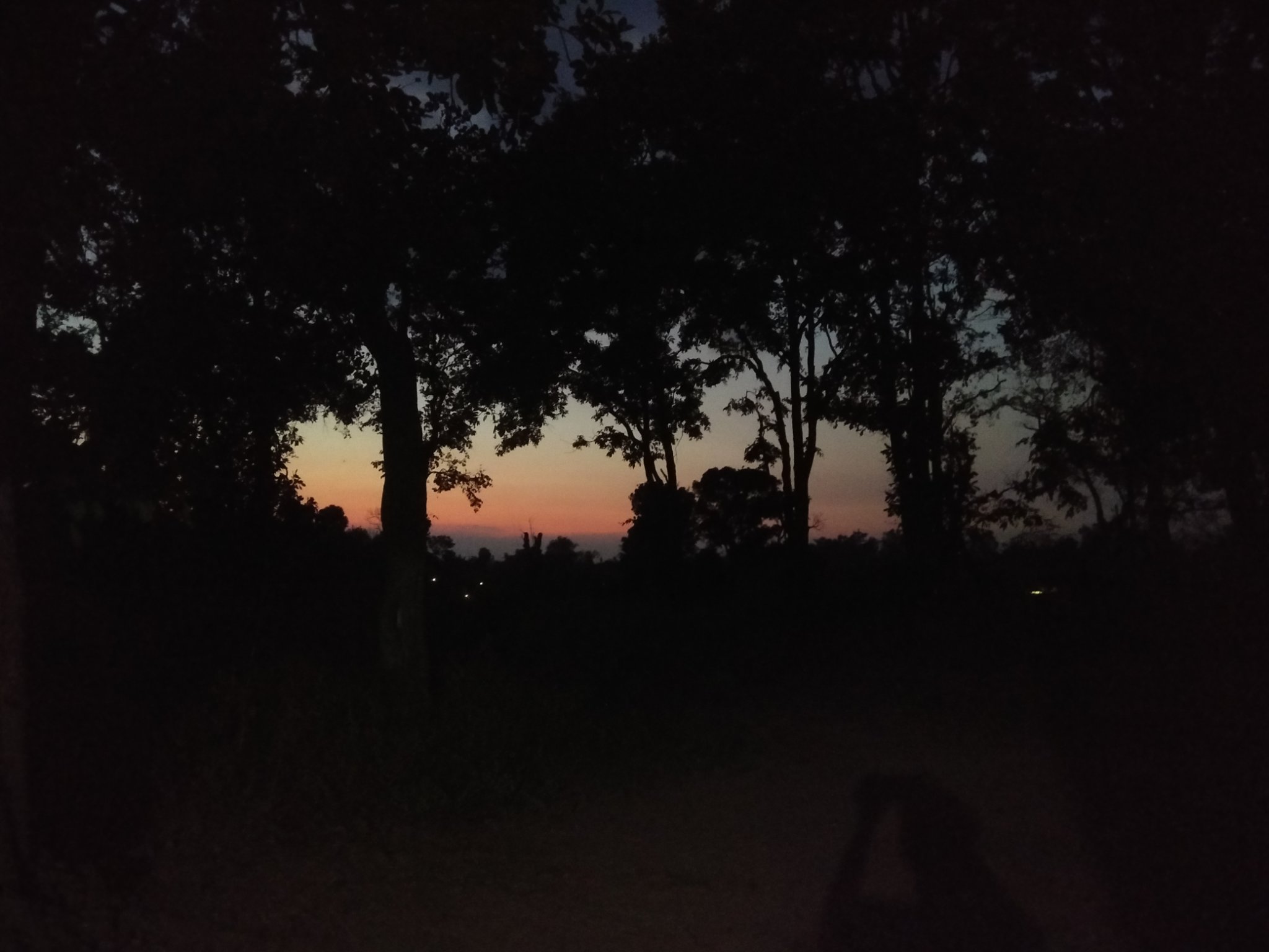 manishwild's profile banner image