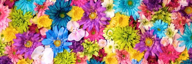 ayanadyaa's profile banner image