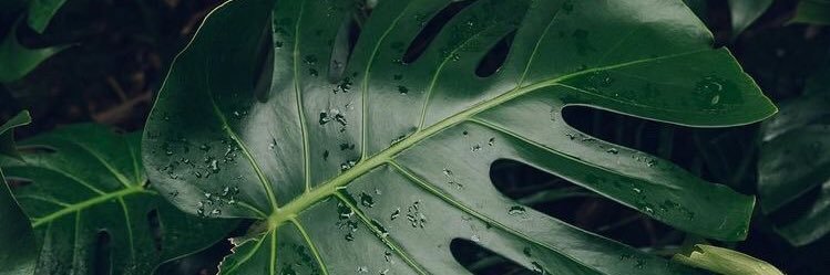justinemooore's profile banner image
