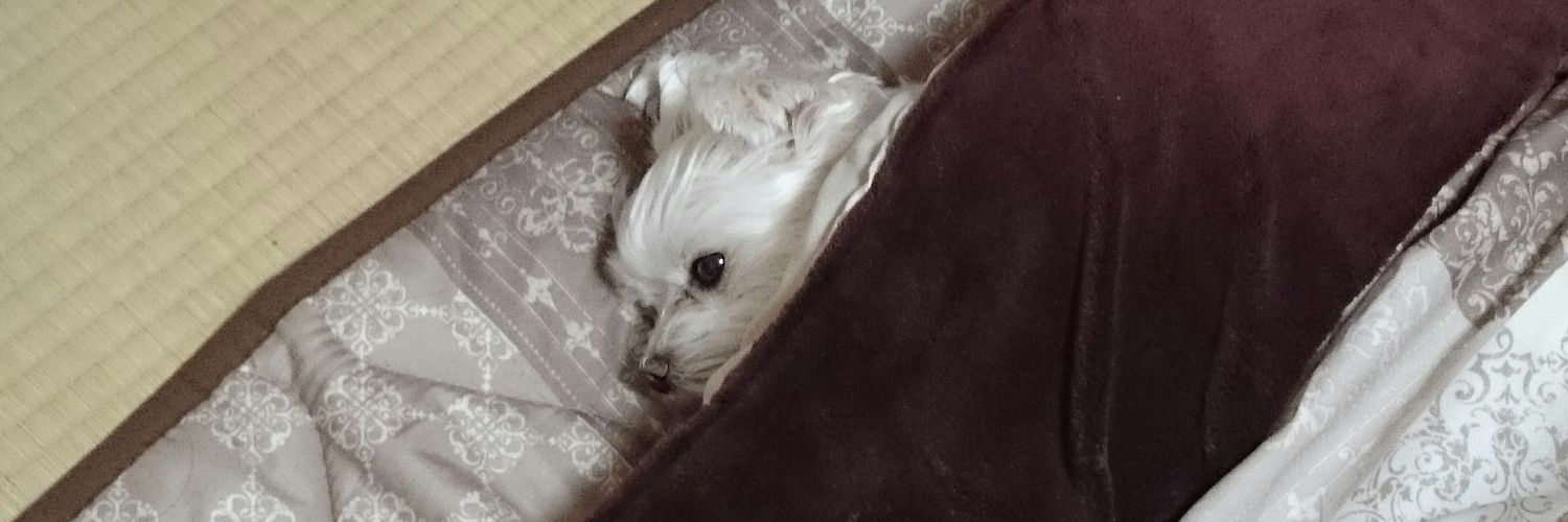 NAYUTA_FFRK's profile banner image