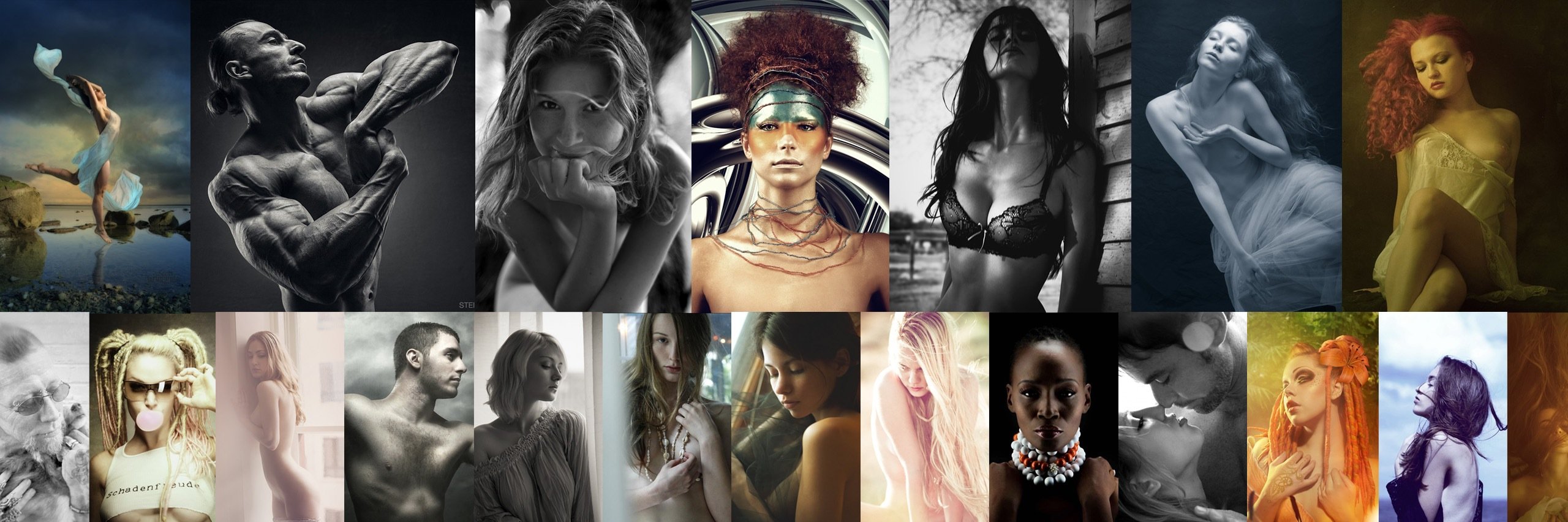 Model Society banner