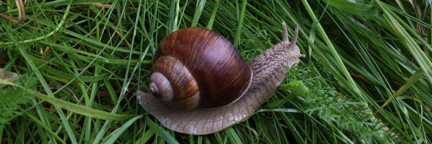 GreaseDaddie's profile banner image