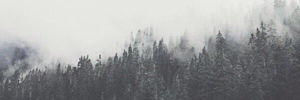Hsiuung's profile banner image